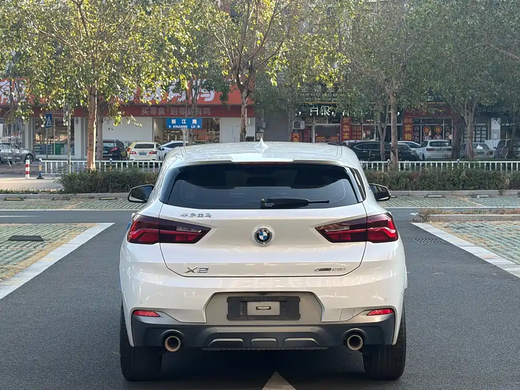 BMW X2