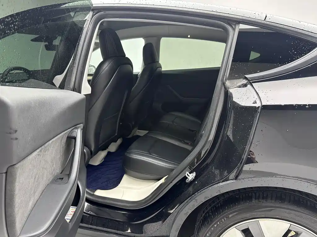 Tesla Model Y — миниатюра 10
