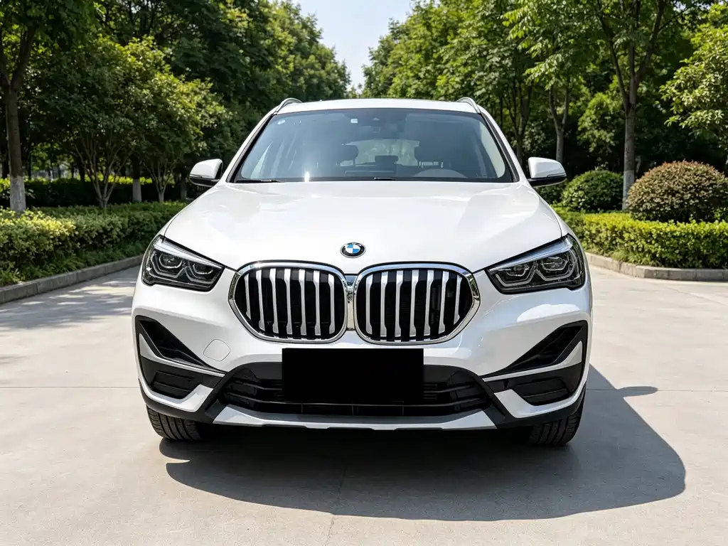 BMW X1 — миниатюра 2