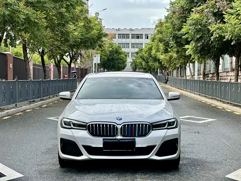 BMW 5 Series — миниатюра 2