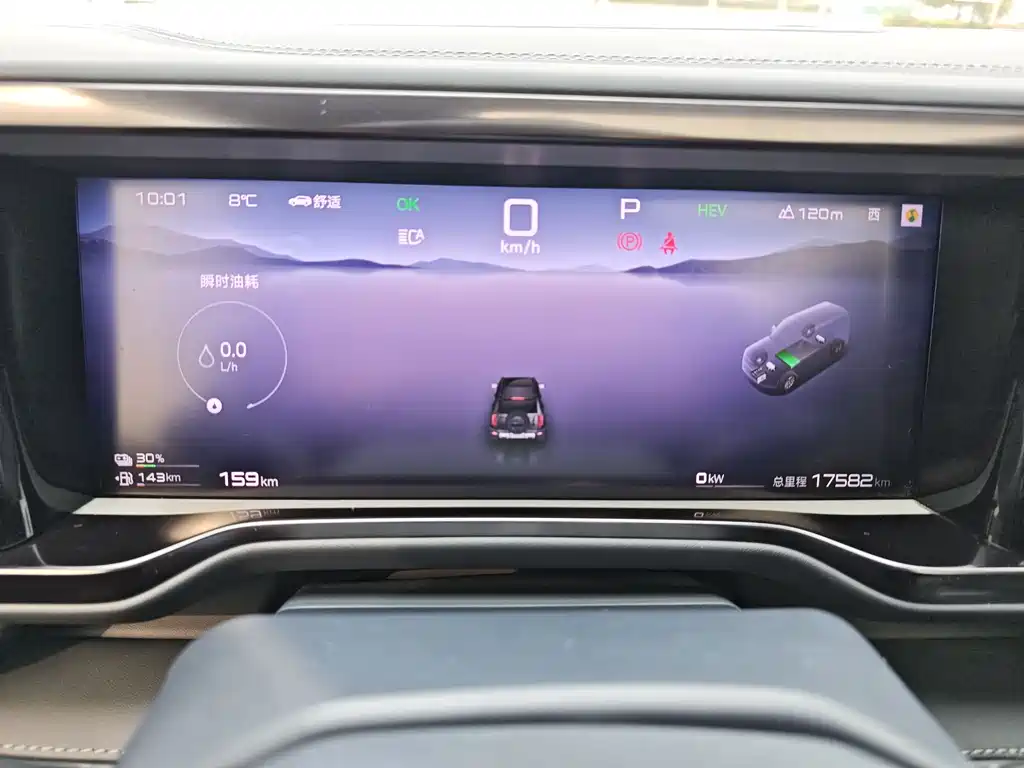 FANG CHENG BAO LEOPARD 5