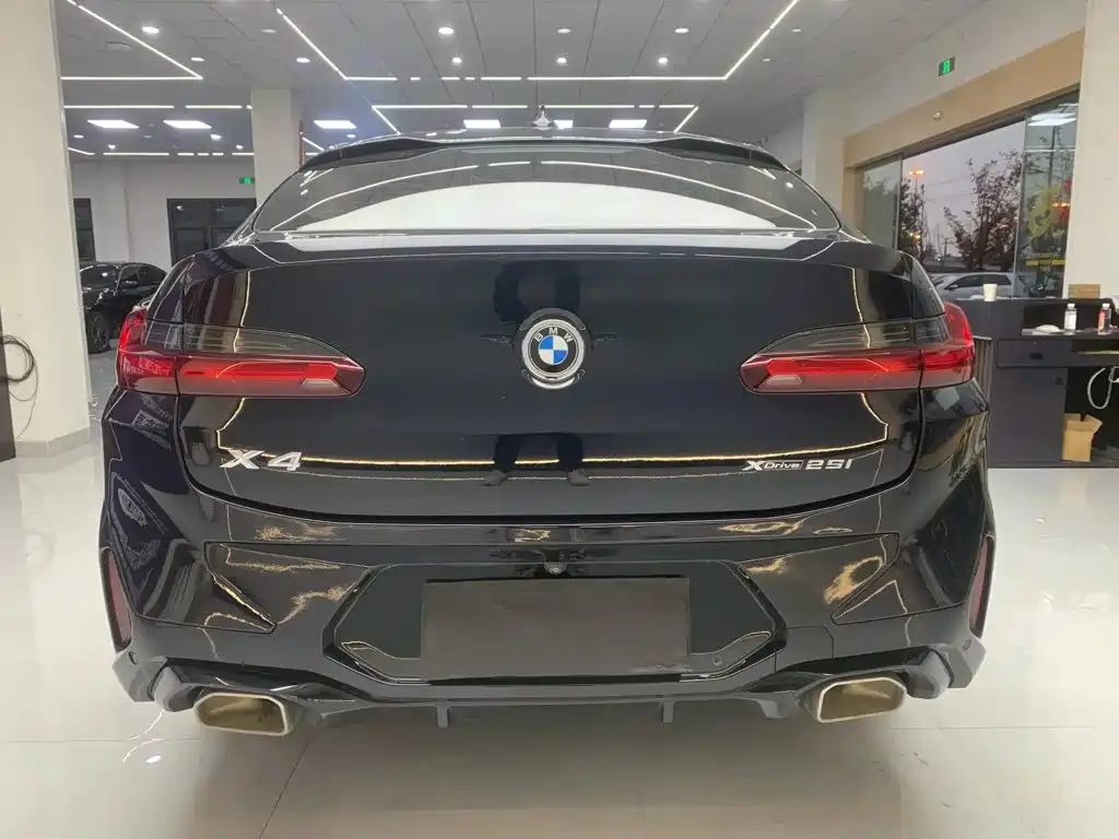 BMW X4 — миниатюра 2