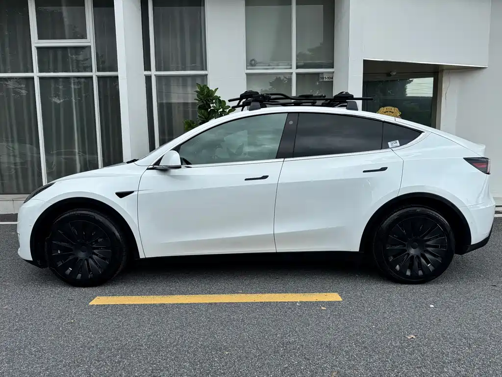Tesla Model Y — миниатюра 4