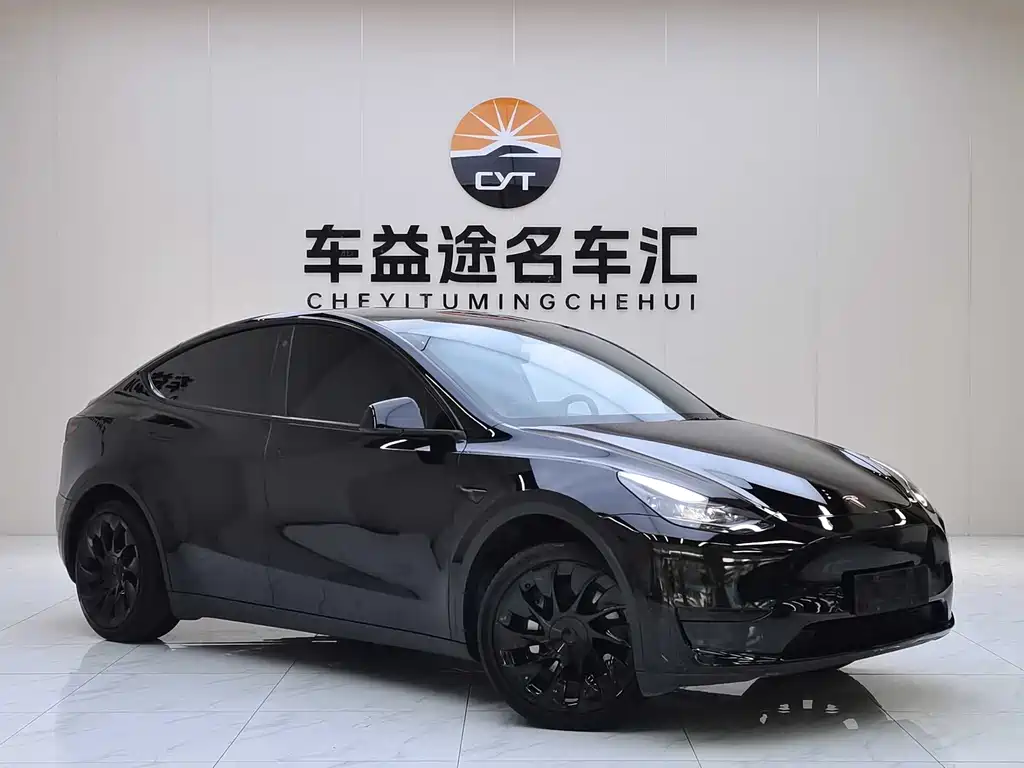 Tesla Model Y — миниатюра 3