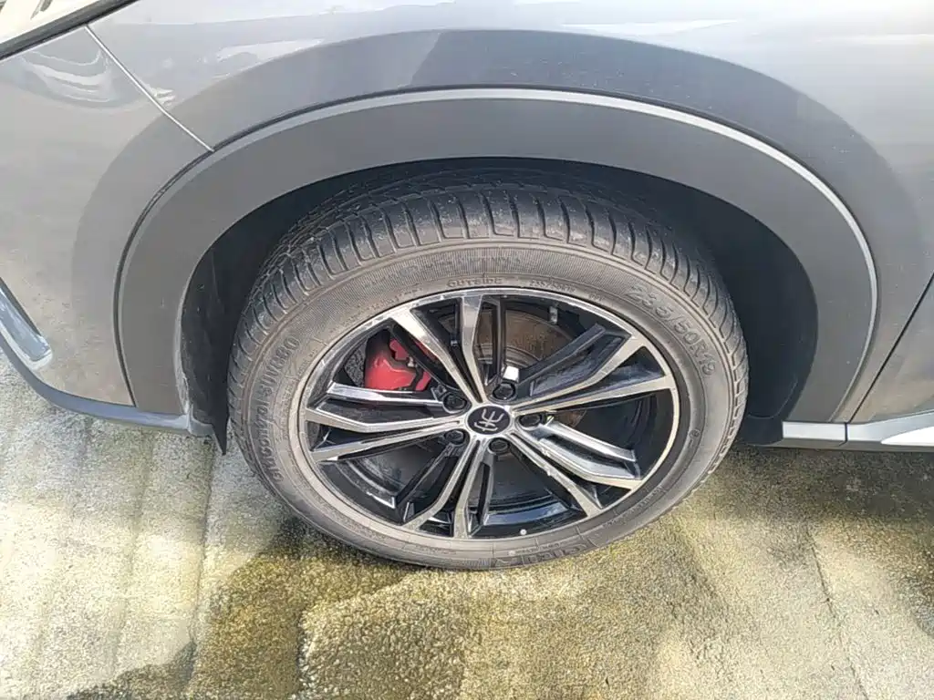 BYD PLUS — миниатюра 23