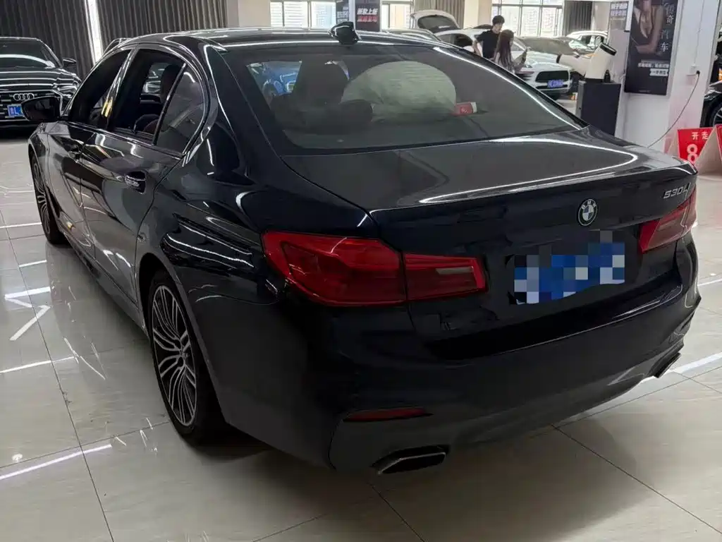 BMW 5 Series — миниатюра 11
