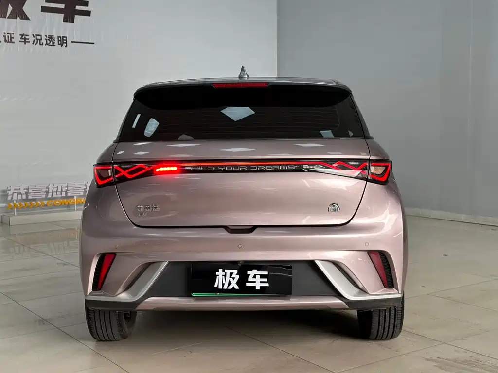 BYD Dolphin — миниатюра 5