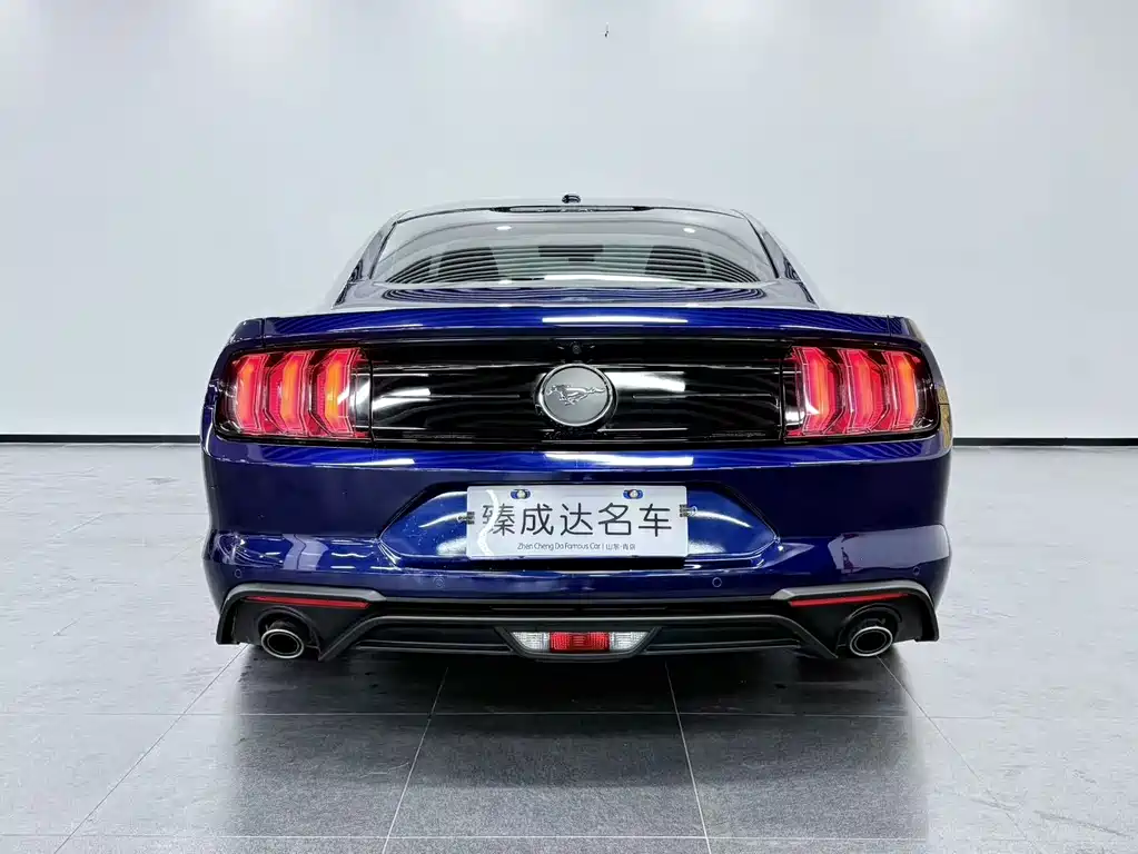 Ford Mustang — миниатюра 6