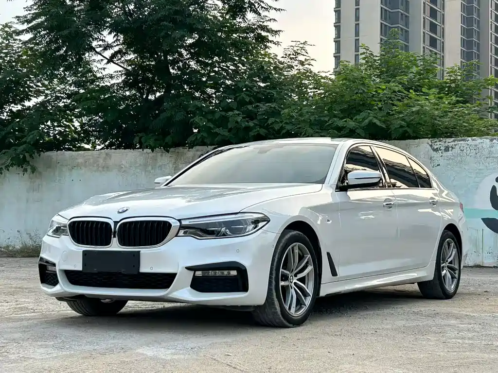 BMW 5 Series — миниатюра 3