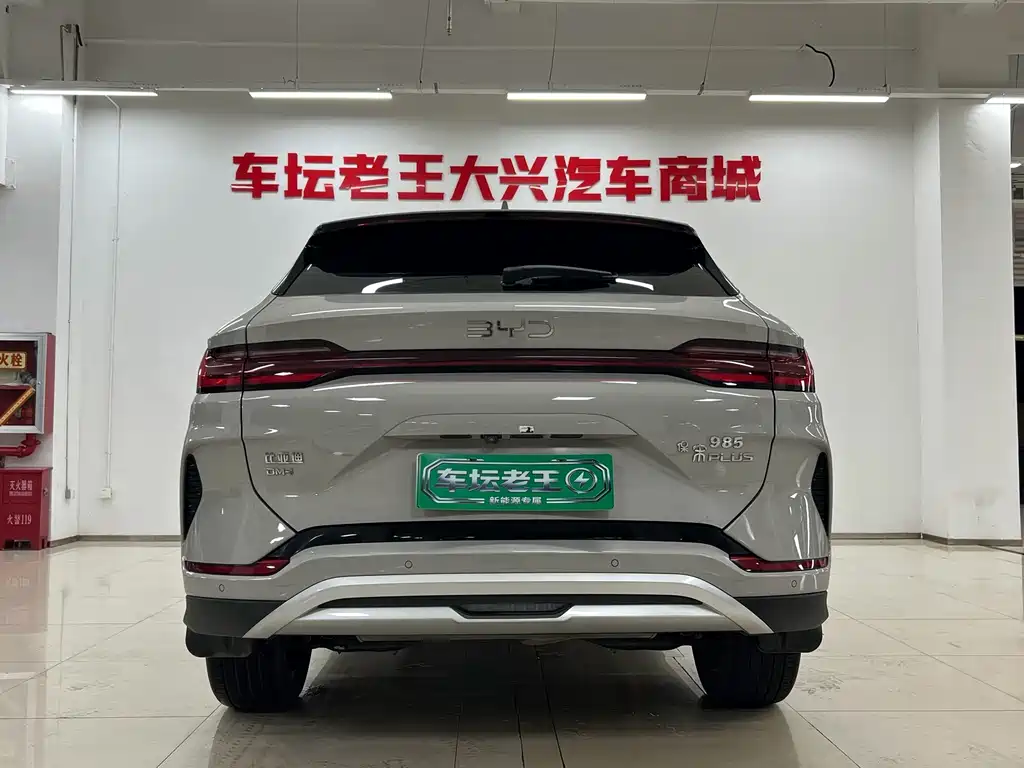 BYD PLUS New Energy — миниатюра 8