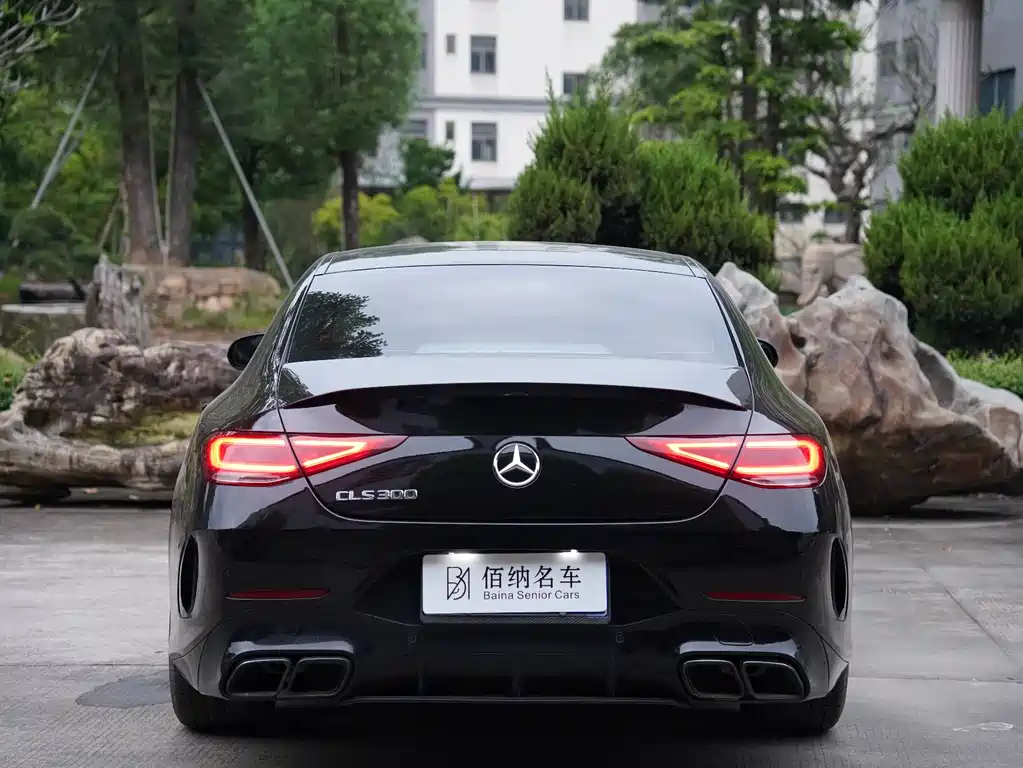 Mercedes-Benz CLS 2021 CLS 300 Luxury