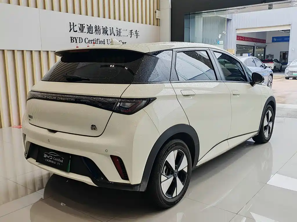 BYD Dolphin — миниатюра 11