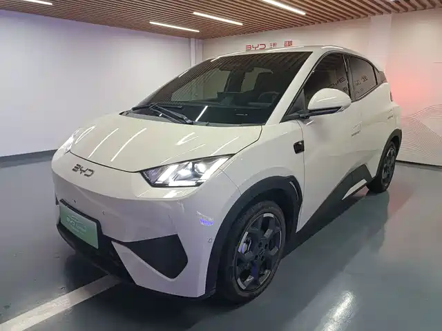 2025 BYD Seagull