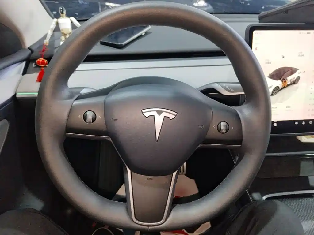 Tesla Model Y — миниатюра 7