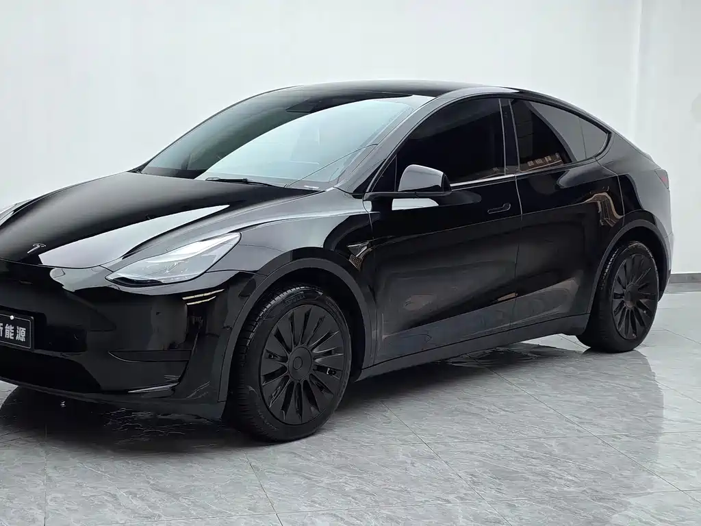 Tesla Model Y — миниатюра 2