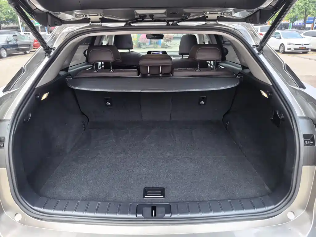 Lexus RX — миниатюра 19