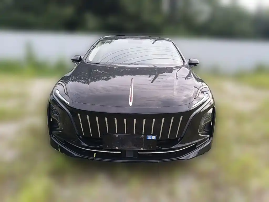 Hongqi Hongqi E-QM5 — миниатюра 5