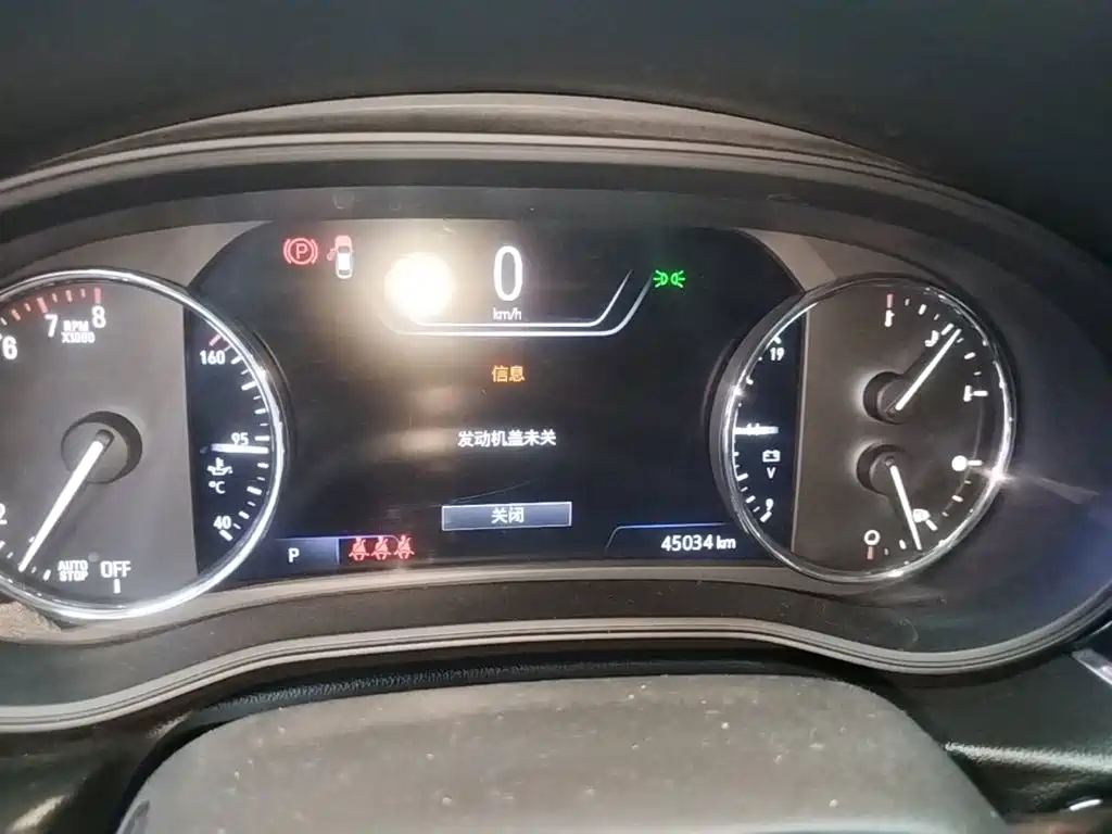 Buick Regal — миниатюра 12