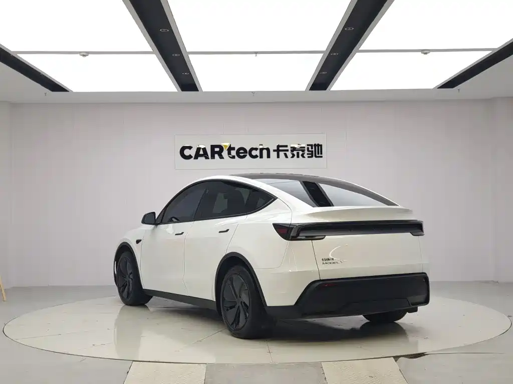 Tesla Model Y — миниатюра 3