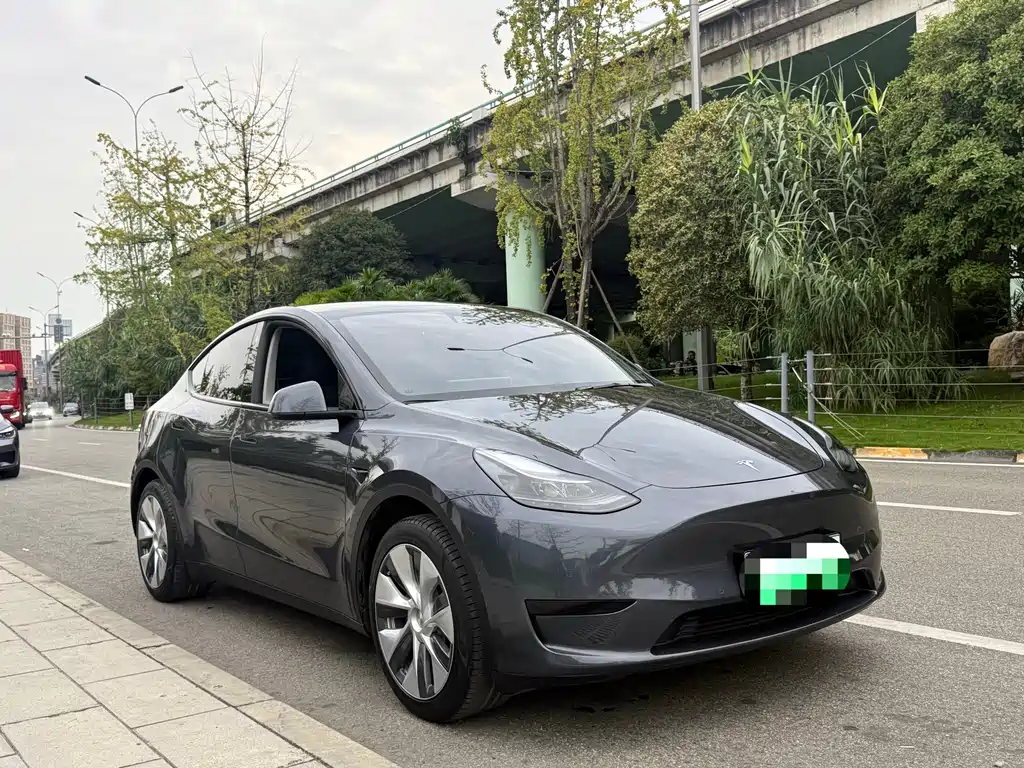 Tesla Model Y — миниатюра 3