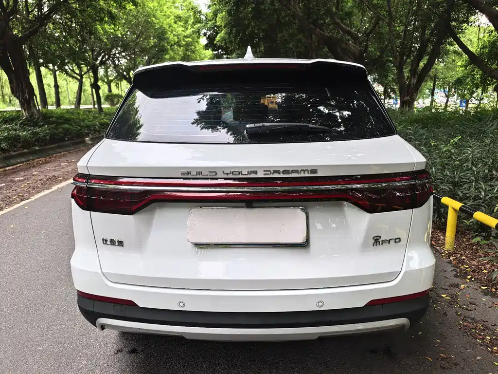 BYD Pro — миниатюра 4