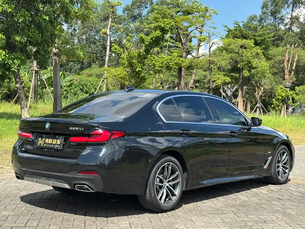 BMW 5 SERIES