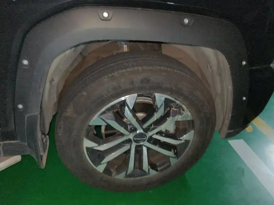Haval Big Dog PLUS — миниатюра 6