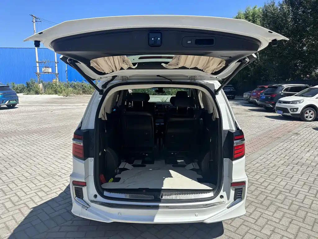 Honda Elysion — миниатюра 8