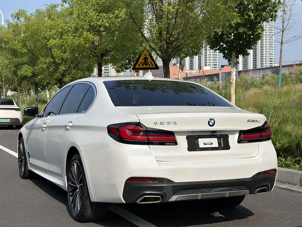 BMW 5 Series — миниатюра 12