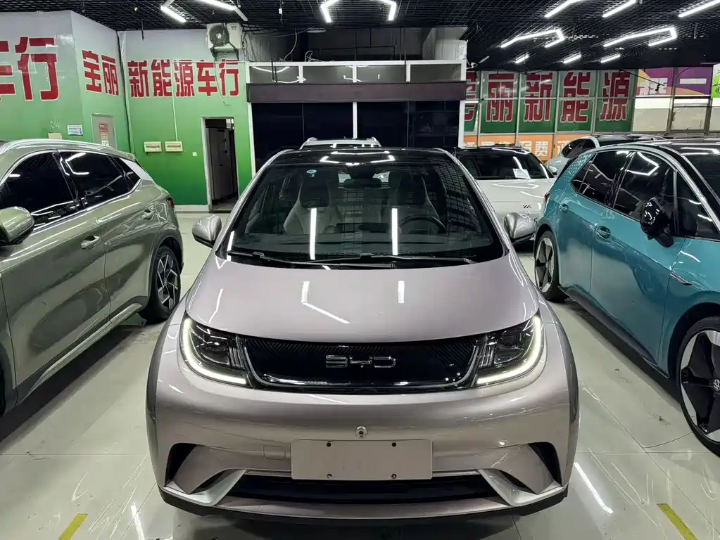 BYD Dolphin — миниатюра 2