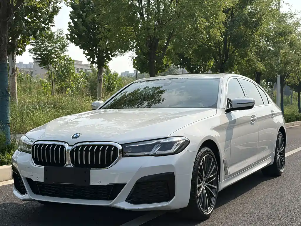 BMW 5 Series — миниатюра 16