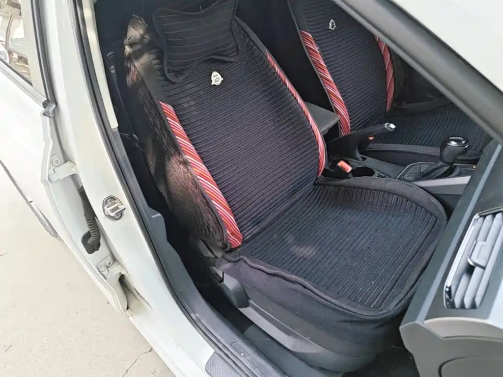 Volkswagen Polo — миниатюра 25