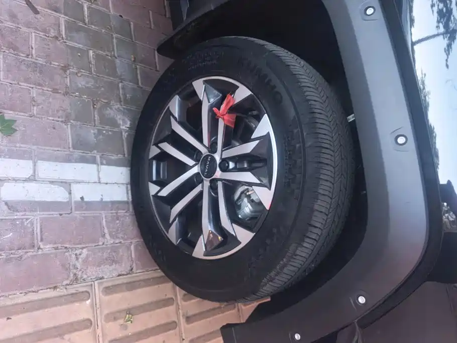 Haval Big Dog PLUS — миниатюра 6
