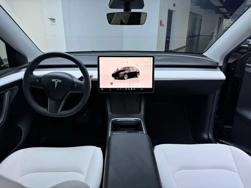 Tesla Model Y — миниатюра 11