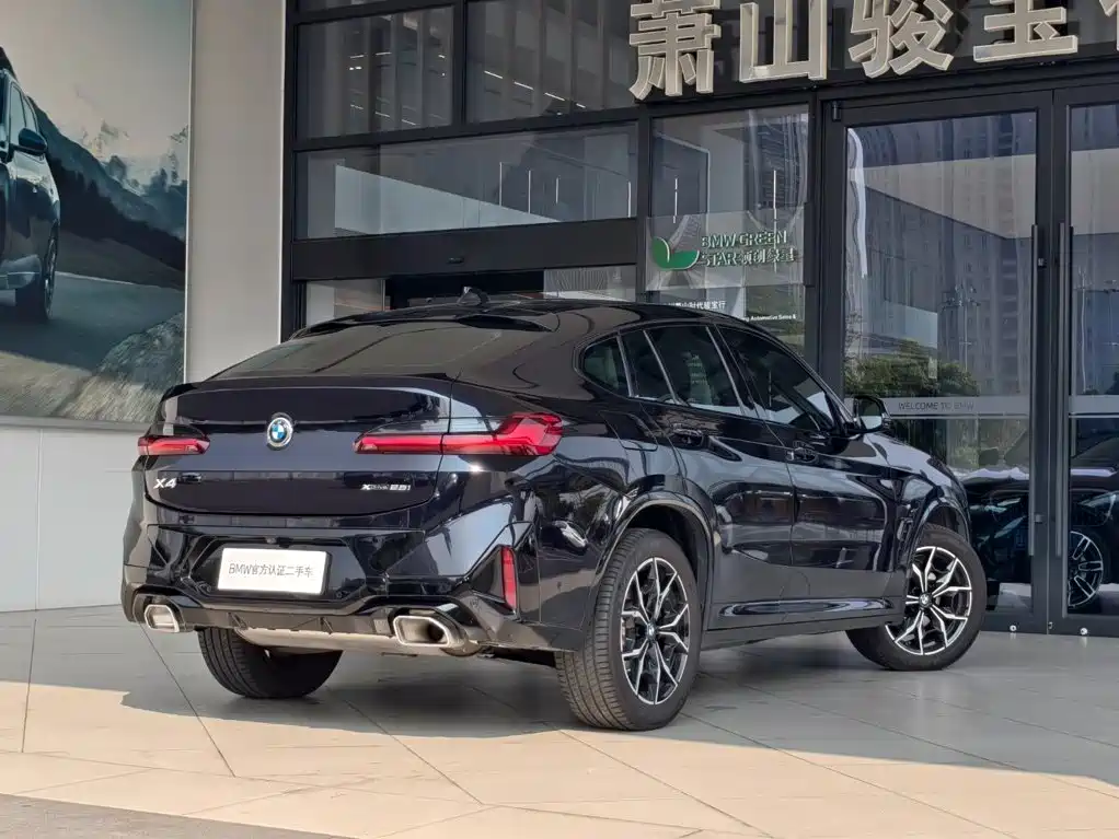 BMW X4 — миниатюра 4