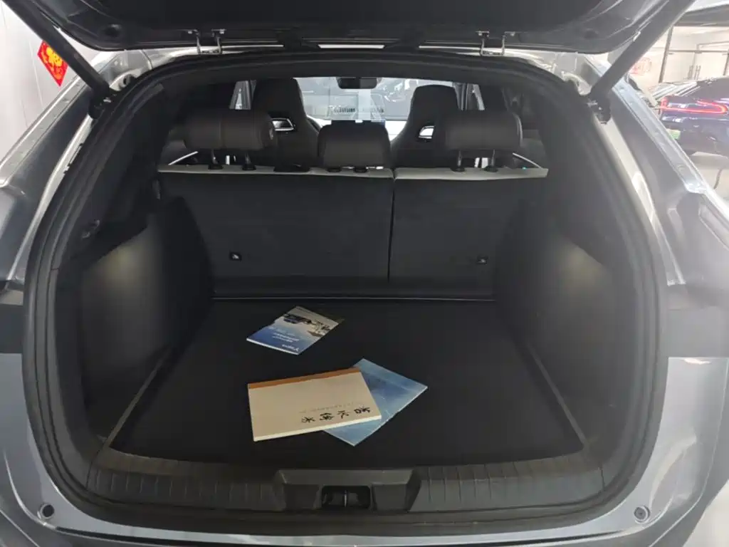 BYD PLUS New Energy — миниатюра 19