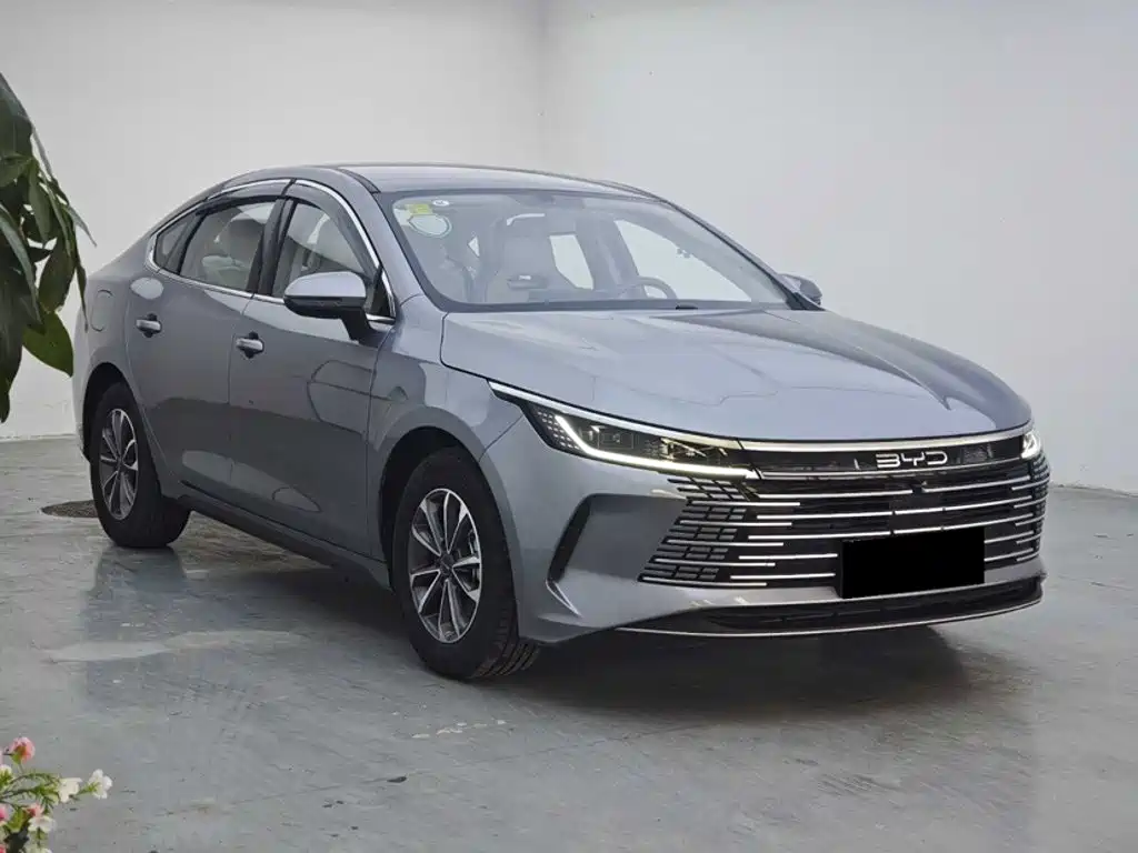 BYD Destroyer 05 — миниатюра 5