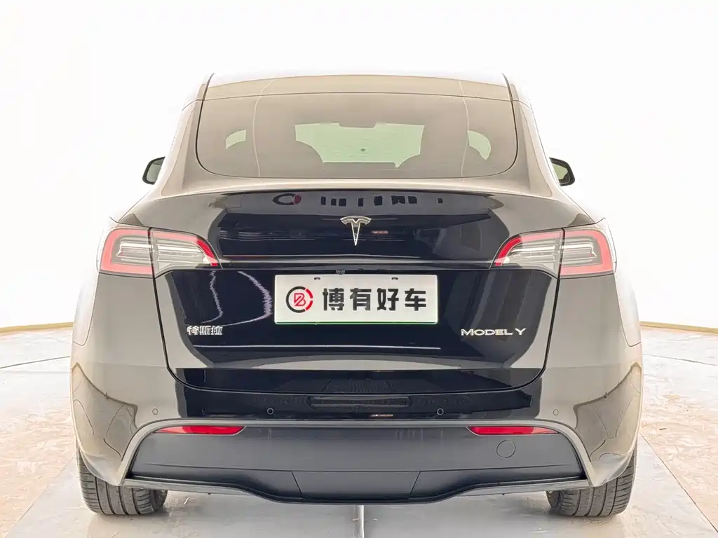 Tesla Model Y — миниатюра 12