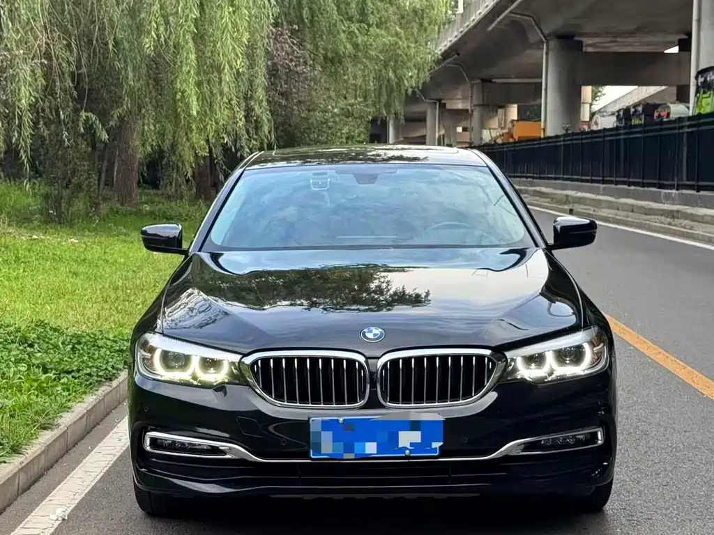 BMW 5 Series 5 2018 530Li Lead Luxury