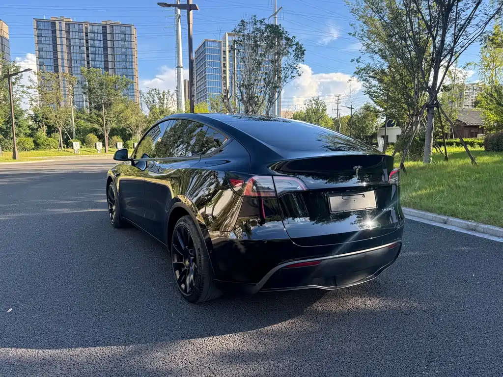 Tesla Model Y — фотографии объявления, Фото 9