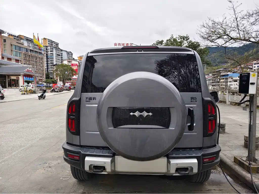 FANG CHENG BAO LEOPARD 5