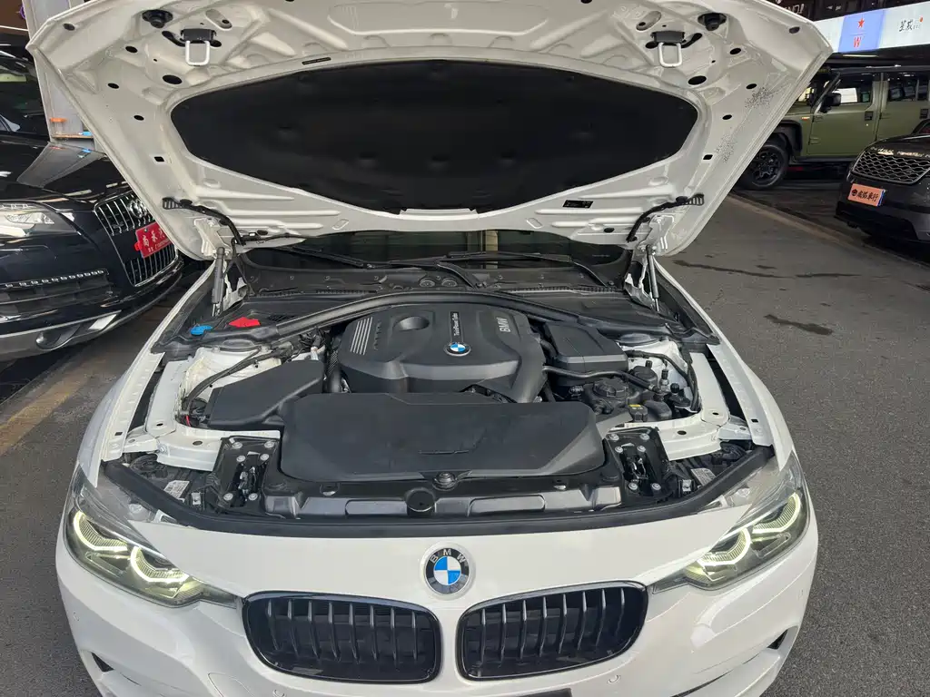 BMW 3 Series 3 2018 320Li M Sport