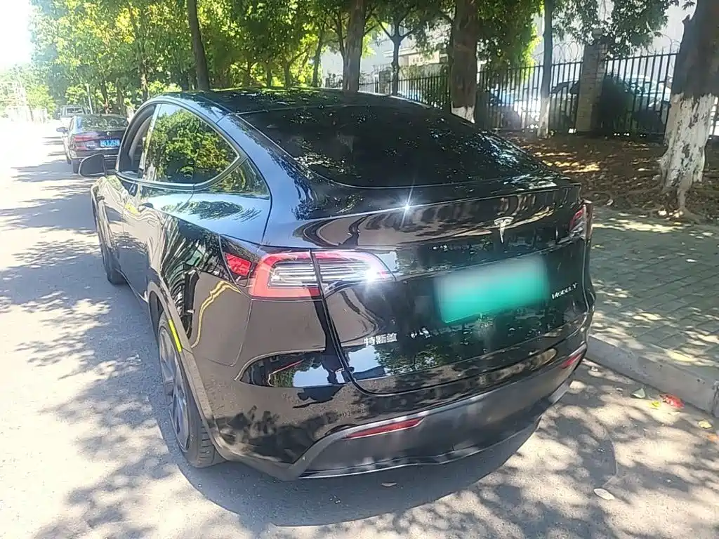 Tesla Model Y — миниатюра 5