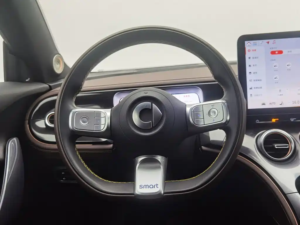 smart Smart #3 — миниатюра 11