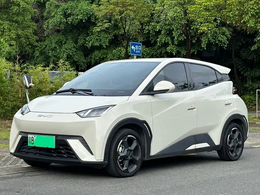 BYD Seagull