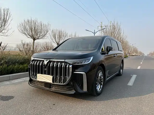 VOYAH LANTU DREAMER 2023