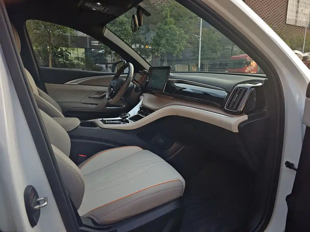 BYD SONGJIANG NEW ENERGY