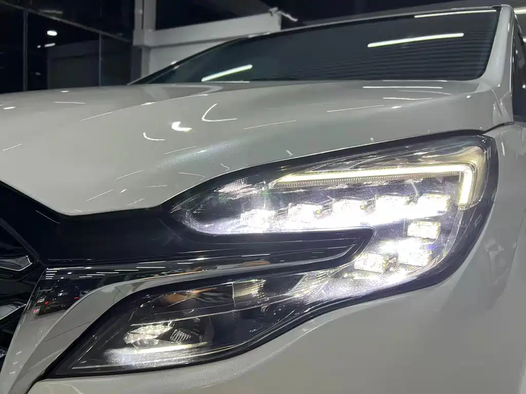 Buick GL8 — миниатюра 10