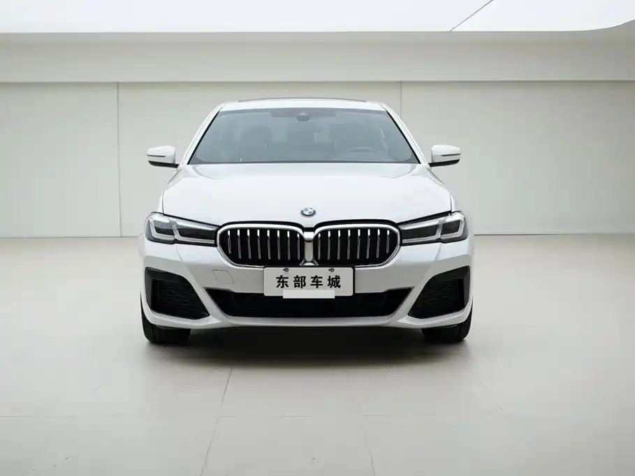 BMW 5 Series — миниатюра 2