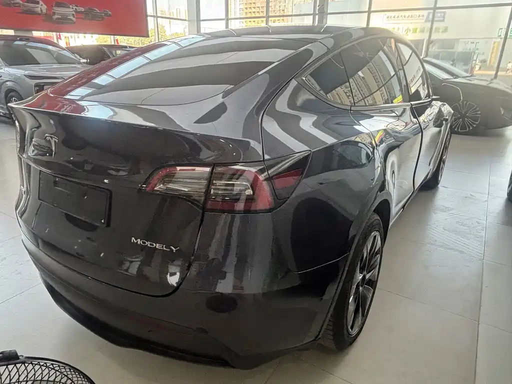 Tesla Model Y — миниатюра 10